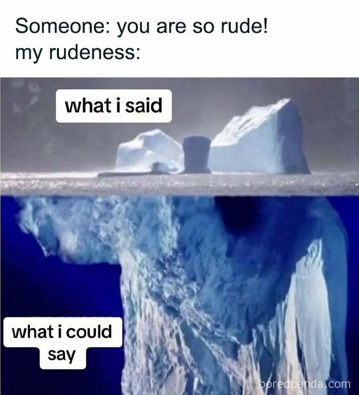 Funny meme showing iceberg with text: "what I said" and "what I could say," capturing random humor.