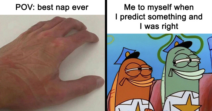 People Online Are Cracking Up At These 105 Random Memes