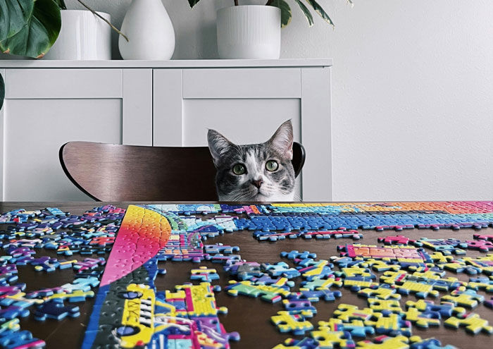 Cat looks over a partially completed puzzle on a table, surrounded by disrupted puzzle pieces.