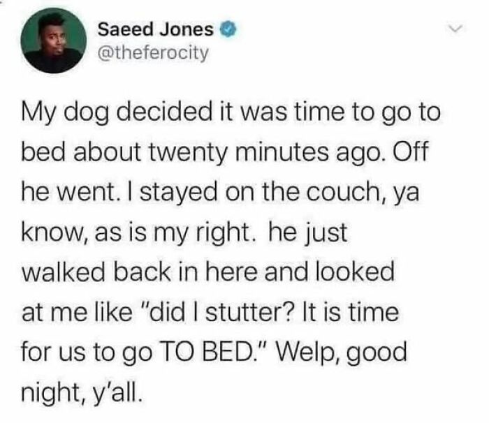 Funny science meme about a dog wanting to go to bed, shared by Saeed Jones.