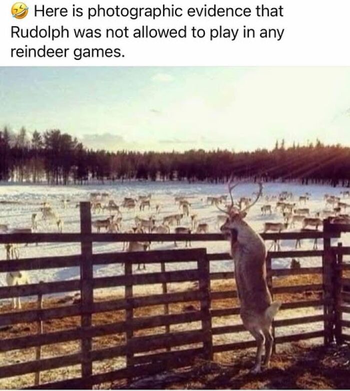 Reindeer looking over a fence in a snowy field, depicting a humorous science meme.