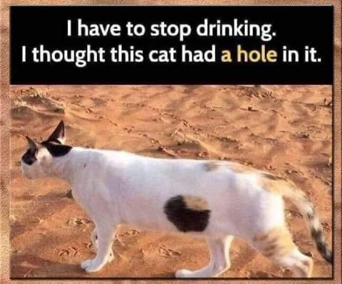 Science meme with a cat and a humorous text about seeing a hole in its fur.