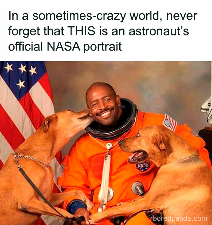 Astronaut in an orange suit smiling with two dogs, highlighting a humorous science meme.