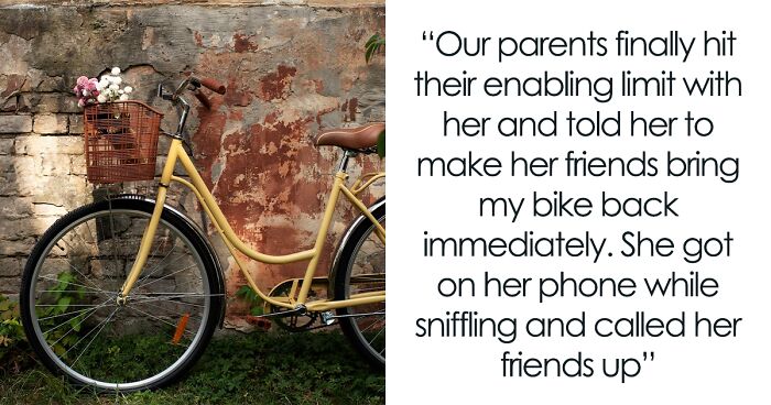 Sister Mistreats Brother, Steals And Dumps His Bike, But Soon Faces Dire Consequences