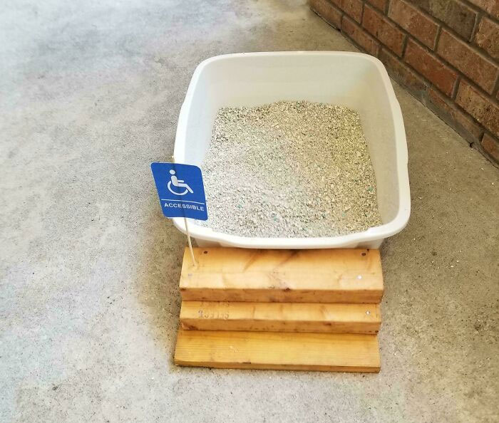 Accessible litter box setup for spoiled pets on a wooden platform, featuring a wheelchair sign.