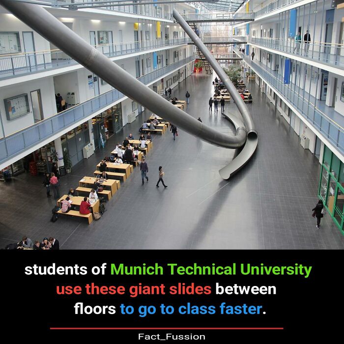 Students at Munich Technical University use giant slides to travel between floors, illustrating fascinating facts.