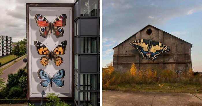 Specimen Boxes: 33 Giant Butterfly Murals Painted By This French Artist Across The World (New Pics)