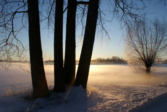 A Snowy Field