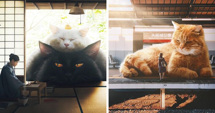 17 Captivating Images Of Giant Cats Blending Into Human Life By Xiang