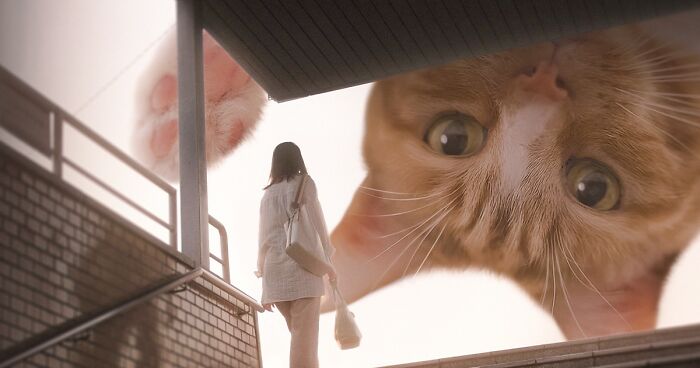 17 Beautiful Images By Xiang Featuring Giant Cats In Everyday Settings