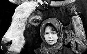 29 Images By Istvan Kerekes That Capture The Resilience And Beauty Of Everyday People