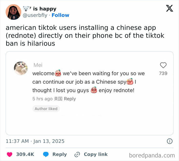 American TikTok users react humorously to the impending TikTok ban by installing a Chinese app.