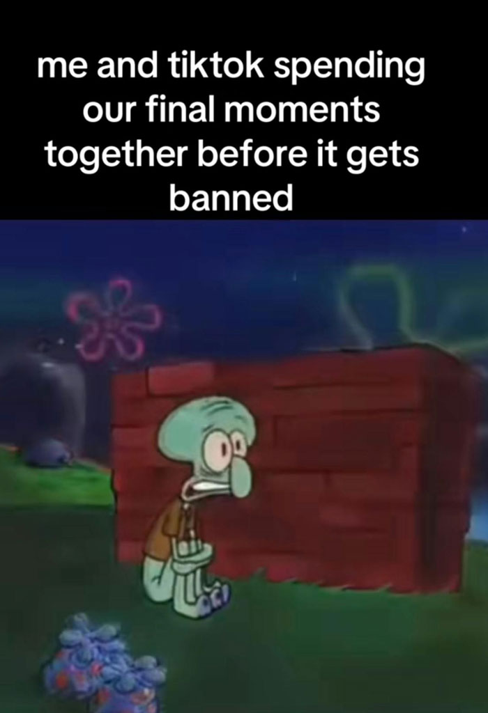 Squidward looking sad in a meme about the impending TikTok ban in America.