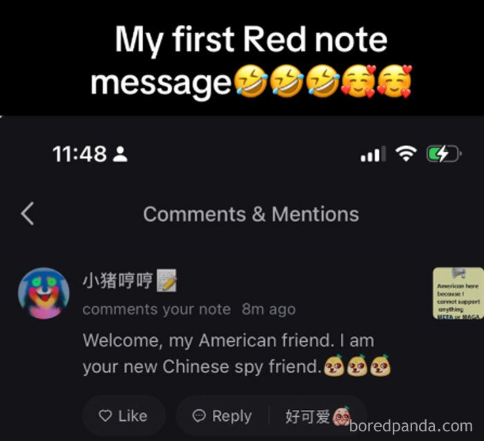 Screenshot showing comments about TikTok reactions in America, with a humorous note about a "Chinese spy friend."