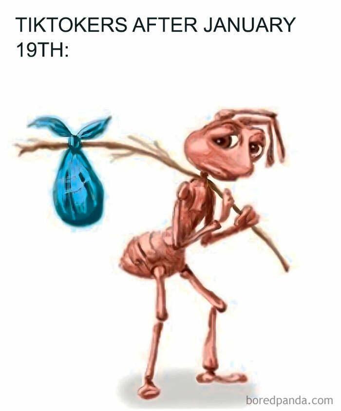 Cartoon ant carrying a bindle, reacting to TikTok ban in America.