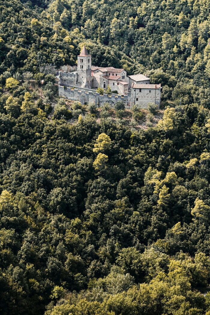 Medieval stone castle surrounded by dense forest, capturing new facts about historical architecture.