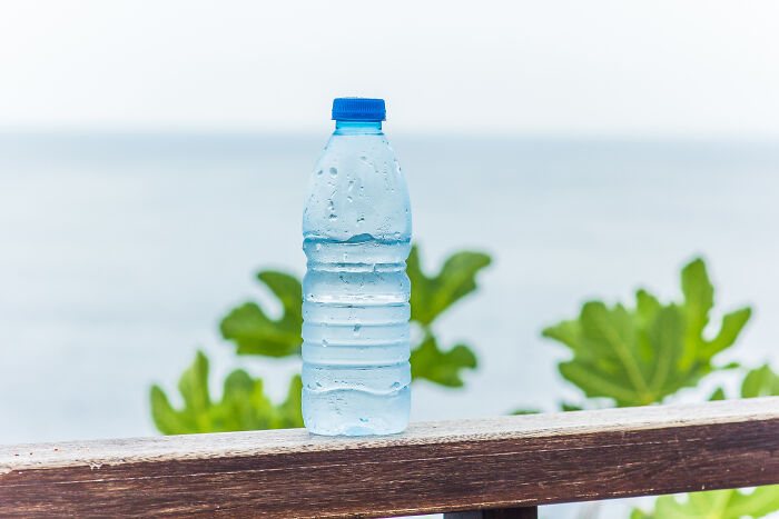 Plastic water bottle on a wooden railing by the sea, highlighting potential toxic things for the body.