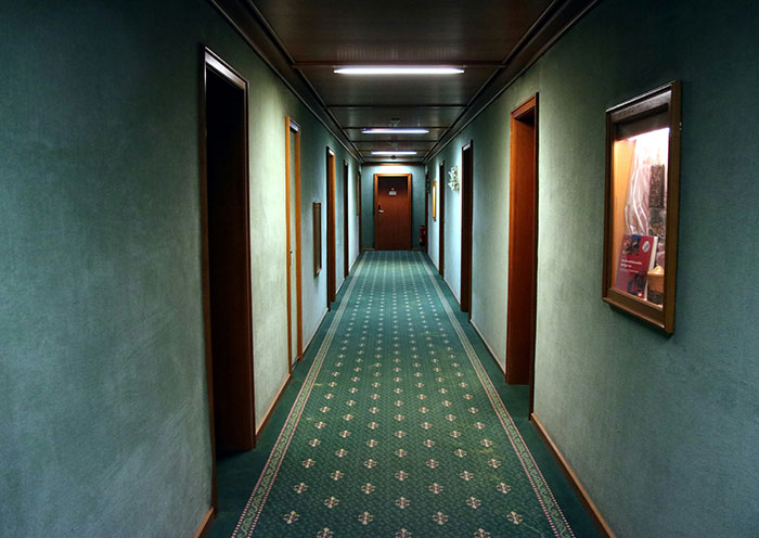 Hotel hallway with green carpet and framed art on walls, showcasing unspoken rules of hotel stays.