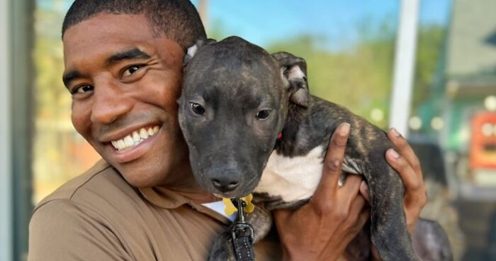 UPS Driver Entertains Himself At Work By Taking Photos With Every Pet He Meets (21 New Pics)