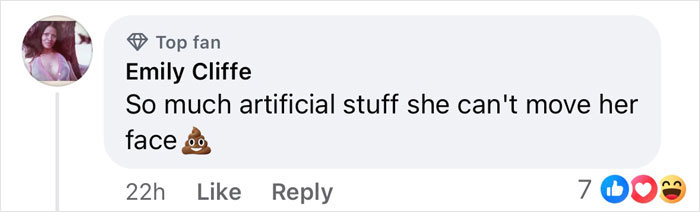 Facebook comment mocking portrait related to Freelance Magician article, featuring emoji and 7 likes.