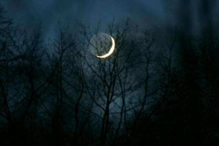 A Photo Of The Crescent Moon Behind Trees