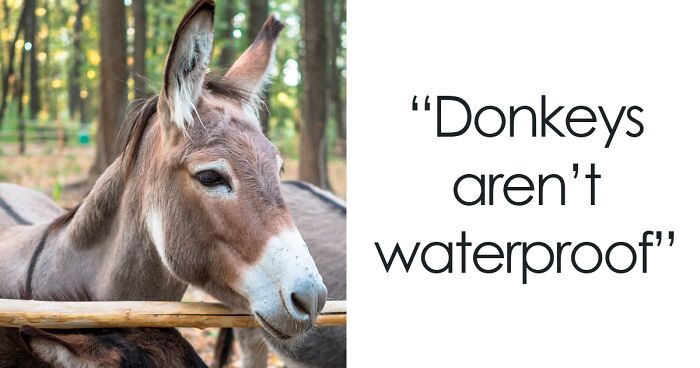 52 Fascinating Animal And Nature Facts To Impress Your Crush With