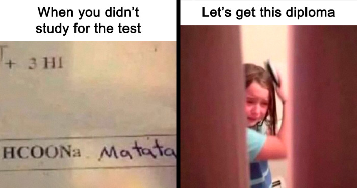 “Wholesome College Memes”: 95 Funny Pics That Students Might Find Painfully Relatable