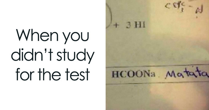 30 Funny Student Memes That Show What Life Is Like At College