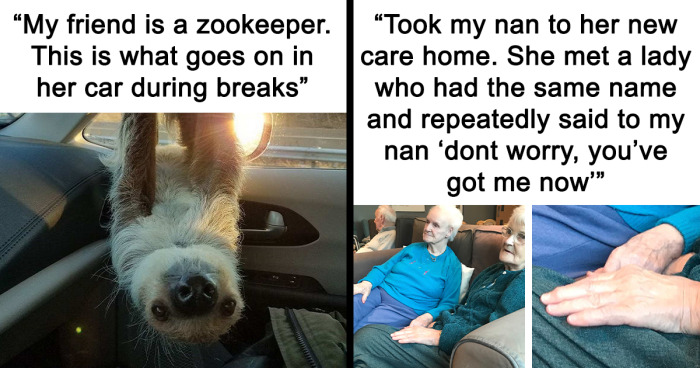 ‘Wholesome Meets The Internet’: 98 Pics To Melt Even The Coldest Hearts (Best Of All Time)