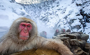 From Africa’s Soda Lakes To Antarctica: 53 Mesmerizing Photos Captured By Paul McKenzie