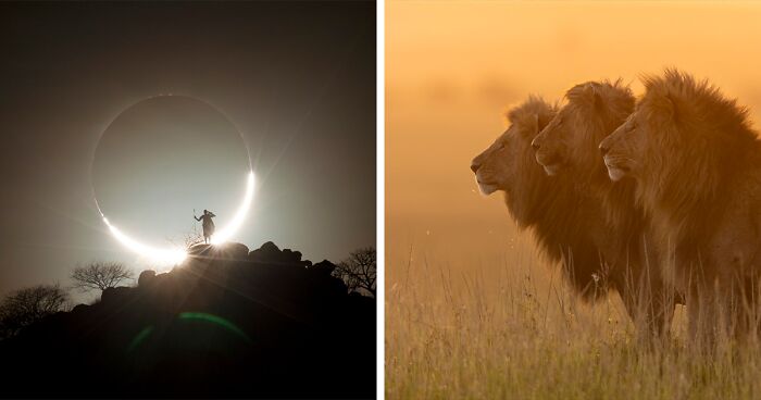 The 41 Most Stunning Winning Photos Of 2024 reFocus Photographer Of The Year