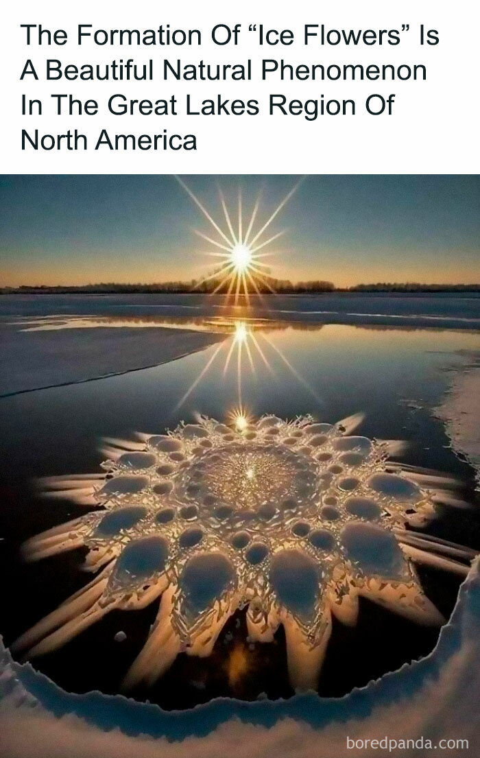 Ice flowers on a frozen lake with sun rays in Great Lakes, North America. Fascinating natural phenomena captured at sunset.