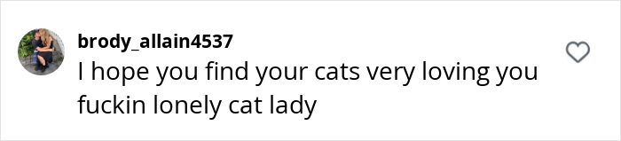 Comment referencing a woman divorcing her husband, mentioning cats.