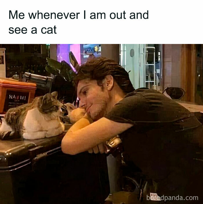 Man smiling at a cat in the evening on a sidewalk, creating a humorous and random interaction.