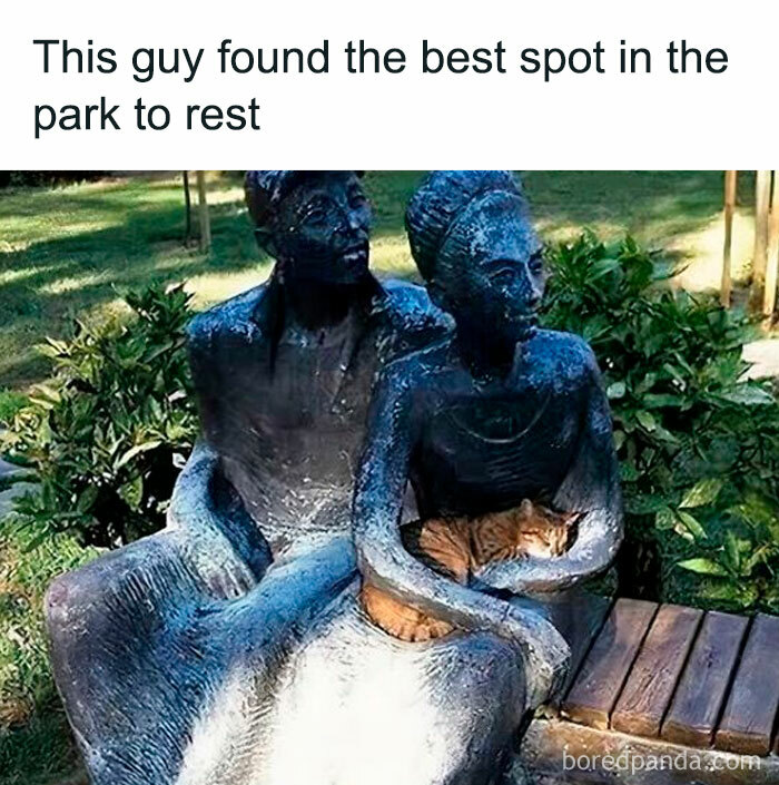 Bronze sculpture of a couple with a cat resting between them in a park. Perfect example of random stuff with cats.