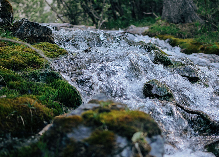 Scary hike with a rocky, moss-covered stream in a forest setting.