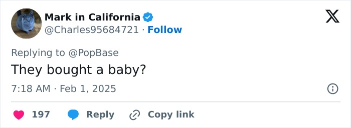 Tweet questioning celebrity’s surrogate baby decisions, dated February 1, 2025.