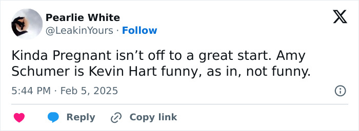 Tweet criticizing Amy Schumer's comedy, calling it not funny, comparing it to Kevin Hart's style.