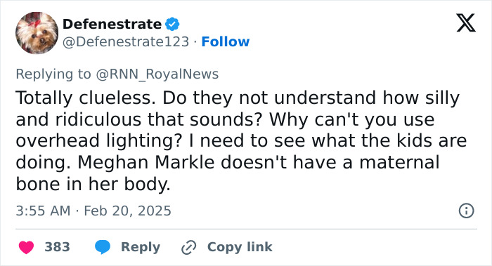 Tweet criticizing Meghan Markle's advice on kids' parties, calling it silly and ridiculous.