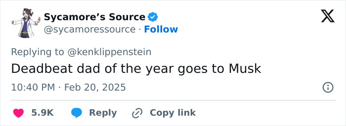 Tweet criticizing Musk, calling him \"deadbeat dad of the year,\" from @sycamoresource, Feb 20, 2025.