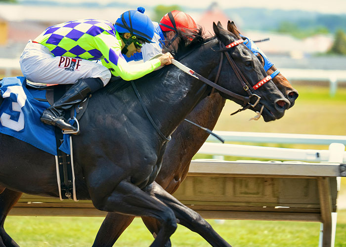 Jockeys in colorful attire racing on horses, capturing a wholesome moment at the track.