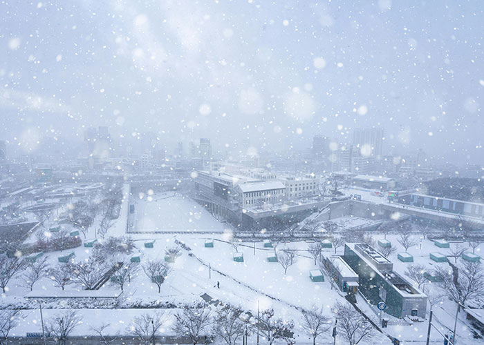 Snow falling on a cityscape, streets and rooftops covered in white, evoking a scene in Europe during winter.