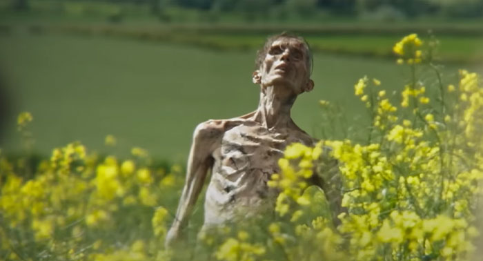 Emaciated figure among yellow flowers in a field, related to the \"28 Years Later\" cast.