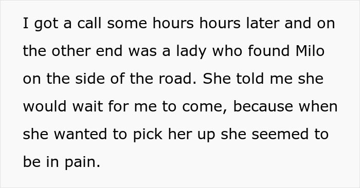 Text about a woman's nightmare trip after her dog, Milo, gets lost, with details of him being found in pain by a lady.