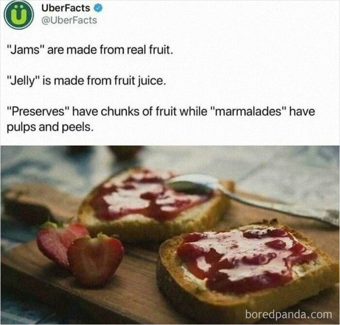 Tweet about the differences between jams, jellies, preserves, and marmalades with toast topped with jam. Cooking lovers' meme.