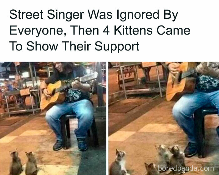 Street singer playing guitar with four kittens sitting and watching, creating a heartwarming moment of joy.