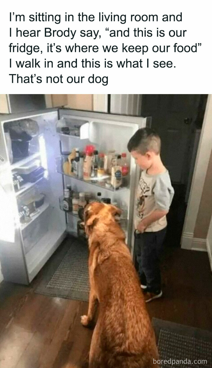 Child and dog looking into an open fridge, creating a heartwarming moment of curiosity and innocence in the kitchen.