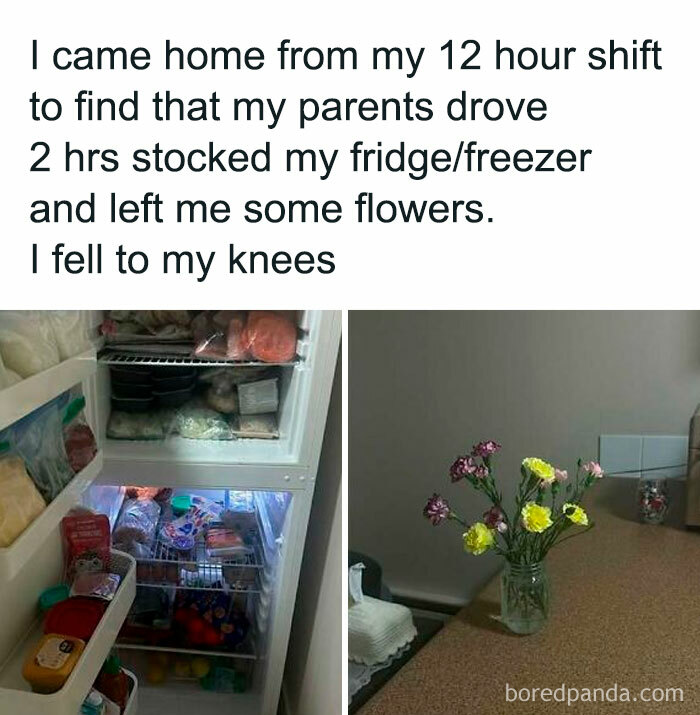 Heartwarming meme showing a stocked fridge and a vase of flowers on a counter.