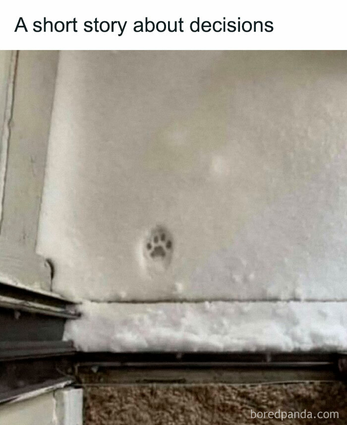 Paw print in snow by door hints at thoughtful decisions, radiating heartwarming joy.