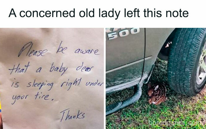 Heartwarming meme of a note warning about a baby deer sleeping under a truck tire.